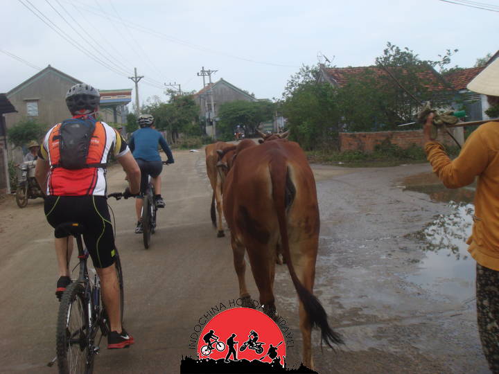 2 Days Cycling To VanLong Nature Reserve - Cuc Phuong - Tam Coc Bike Tours