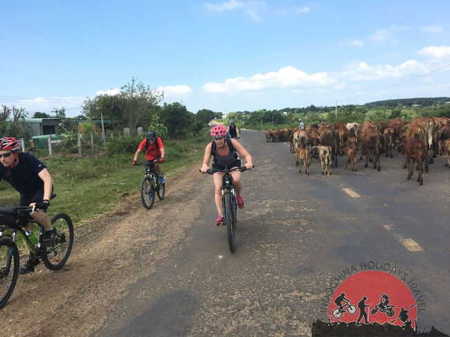 7 Days Ho Chi Minh City Cycling To Siem Reap