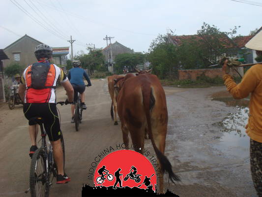 NhaTrang Cycling To Hanoi Along The Coastlines and Ho Chi Minh Trails - 12 Days