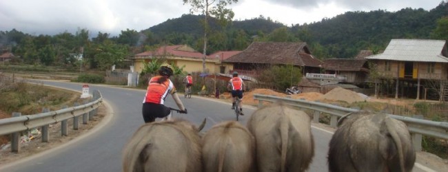 Hanoi Cycle to Ba Be National Park – 3 days