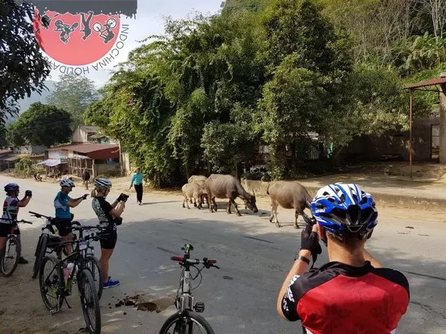 Cycling From Northern To Central Highlands - Southern - 20 Day 1