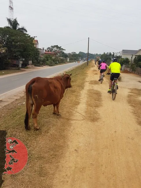 Hanoi Challenging to Ta xua and Tran Tau Hot springs - 4 Days 3