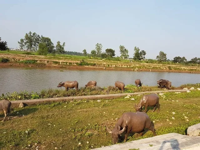 Hanoi Cycle to Ba Be National Park – 3 days 3