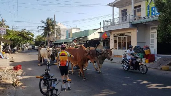 Hanoi Cycling To Hagiang Mountain - 6 Days 3