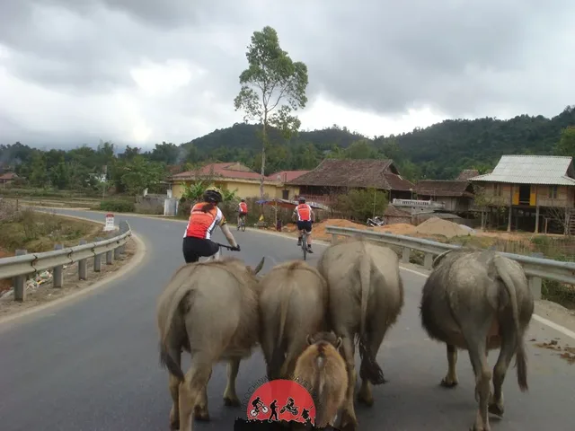 HoChiMinh City Cycling To Hanoi – 11 days 2