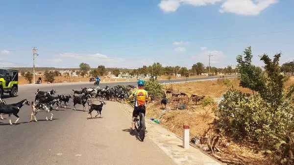 Hue Cycle To Nha Trang Beach – 4 Days 3