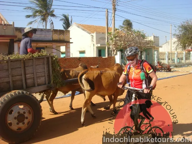 Saigon Cycle to Nam Cat Tien Park – Dalat – NhaTrang – 4 days 1