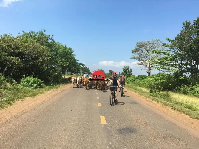 Saigon Cycling To Travinh -Cantho -Sadec - Caolanh - 4 Days 2